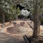 3D slam scanner SHARE_S20