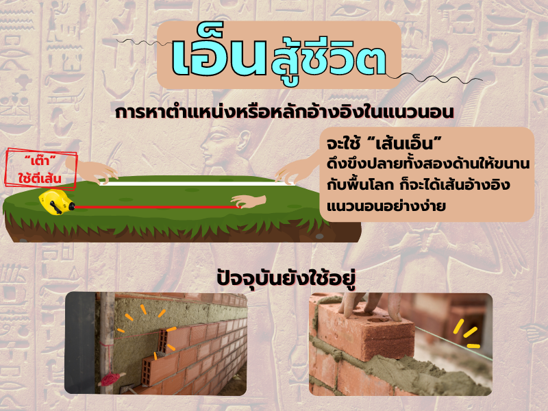 เอ็นสู้ชีวิต