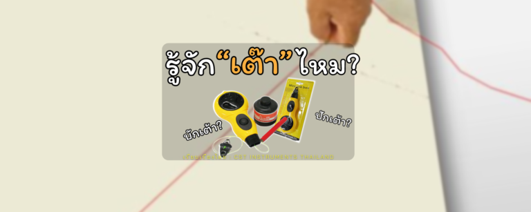 รู้จัก “เต๊า” ไหมคะ?