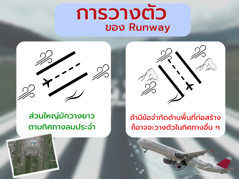 การวางตัว