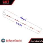 พิน (PIN)